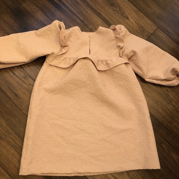 Zara | 4-5 | Pink Ruffled Kids Dress - Picture 4 of 4